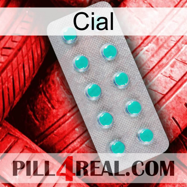 Cial 28